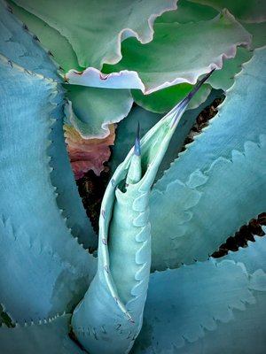 Pointed No. 3 by Wendell Shinn (2026)