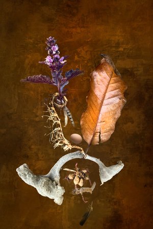 Seasons Remains by Wendell Shinn (2024)