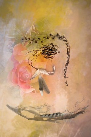 Roses In Winter by Wendell Shinn (2024)