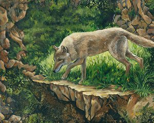 on the hunt by Margie Milne