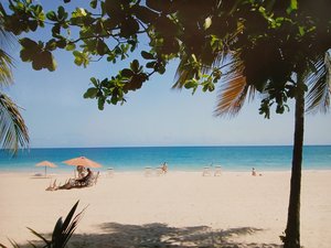 Rosa Colon — portfolio
