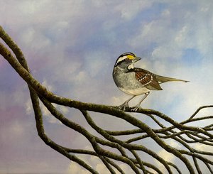 Sparrow in your Heart by BJ Thrailkill (2025)
