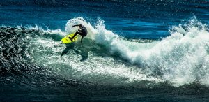 Bovey_Riding the Wave by Susan Bovey