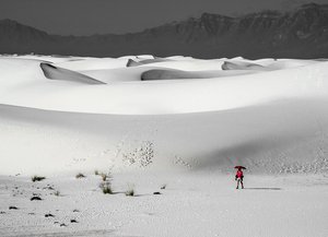 Bovey Lone Wanderer, White Sands NP by Susan Bovey