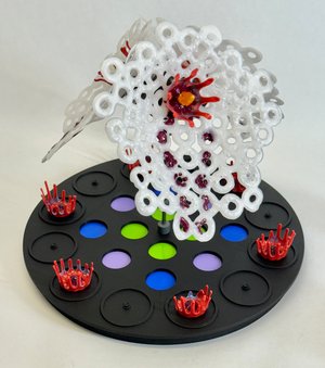Out of Chaos  Balanced Series by Eldon Benz (2024)