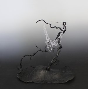 Spider Web in The Dew by Rosalinda Post-Lucas (2026)