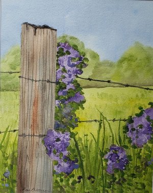 Lisa Brown — portfolio