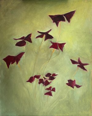 Kay King