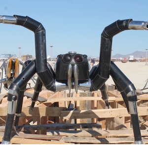 Spider by Benjamin Newman