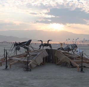 Recycled Insects by Benjamin Newman