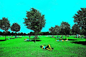 Hyde Park Hyper-Color by Thomas Camp (2009)