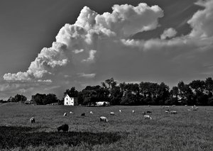 Little Hooves Sheep Farm by Thomas Camp (c.2013)
