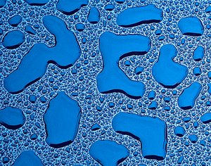 Rain Abstract by Thomas Camp (2005)