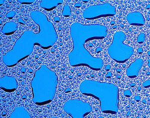 Amplified Raindrops In Blue by Thomas Camp (2026)