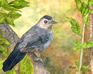 Bird in The Bush by Lisa Youngdahl (2026)