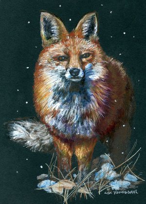 Fox 2021 by Lisa Youngdahl (2021)