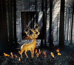 Controlled-Burn by Stephen Albair