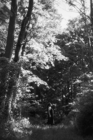 Seeking Sunlight by Samantha Perrelli (2026)