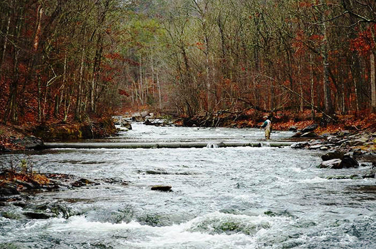 North Memphis, Memphis, Tennessee visual data 5