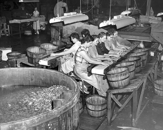 Atkins Pickle Company Encyclopedia of Arkansas