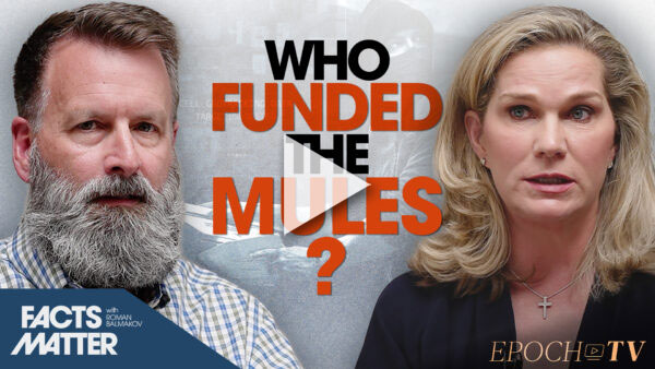 Ballot Mules Funded by Obama-Linked NGOs Who Poured Billions Into ‘Local Insurgencies’: Analyst