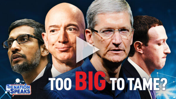 Strike Down Section 230, Break Up the Giants, … Can Anything Rein In Big Tech?