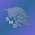 [avatar]