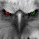 EagleEye
