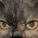 [avatar]