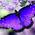 [avatar]