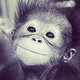 Analyst_51105