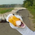 [avatar]