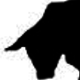 bearwiththebull