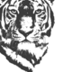 Freitas