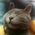 [avatar]