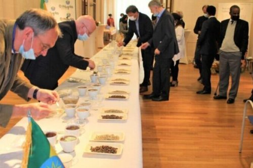 Ethiopian Envoy Hosts Professional Coffee Cupping Event in Brussels