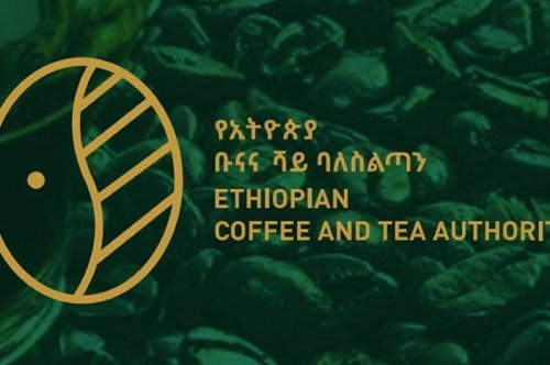 Ethiopia earns over $ 115 million from coffee exports in one month