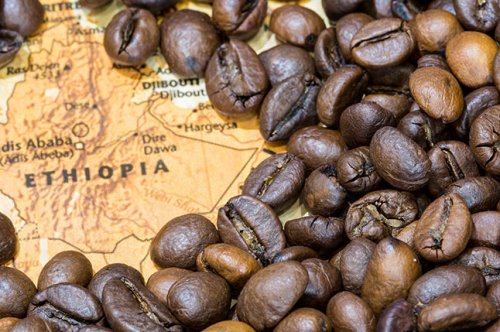 Ethiopian Coffee Flavor Profile