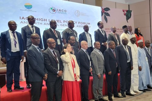 Ethiopia Remains Committed to Play Leading Role in Shaping Africa’s Coffee Industry: IACO Chair