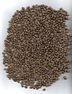 WASHED LIMMU GRADE 2