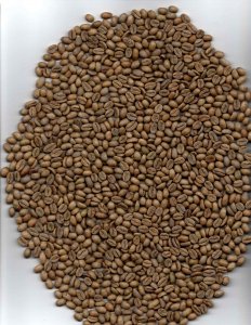 UNWASHED LIMMU GRADE 2