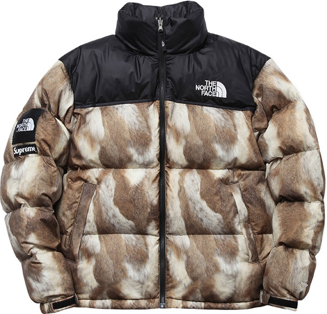 supreme north face city jacket