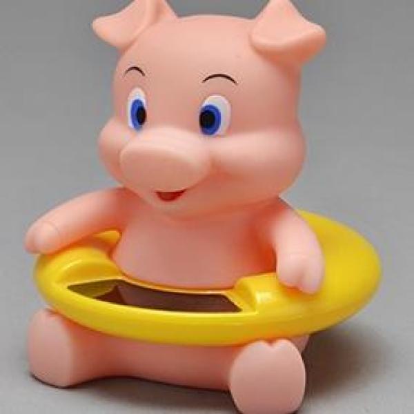TERMÔMETRO PARA BANHEIRA