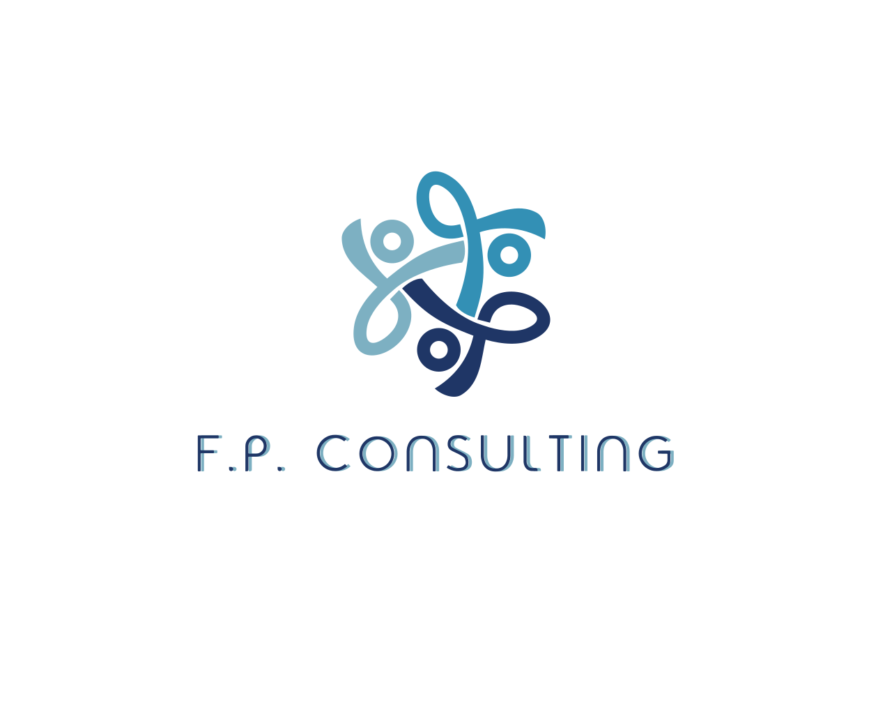F.P. CONSULTING