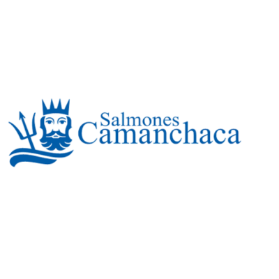 CAMANCHACA SALMONES PROCESOS