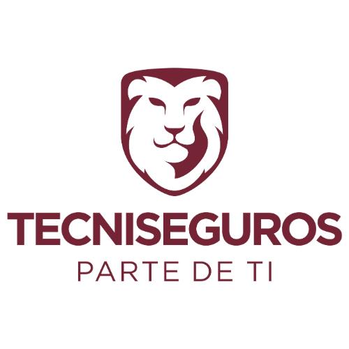 TECNISEGUROS S.A.