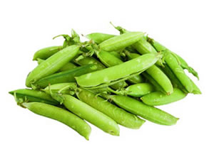 ALVERJ�N CASCARA Libra