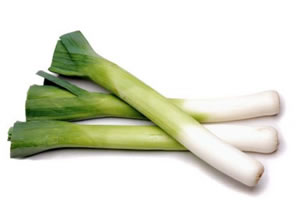 CEBOLLINA PUERRO Libra