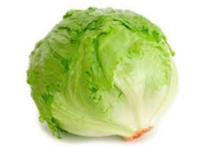 LECHUGA BATABIA Libra