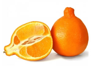 NARANJA TANGELO Libra